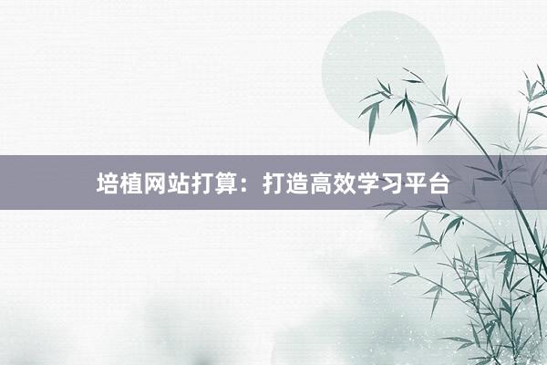 培植网站打算：打造高效学习平台